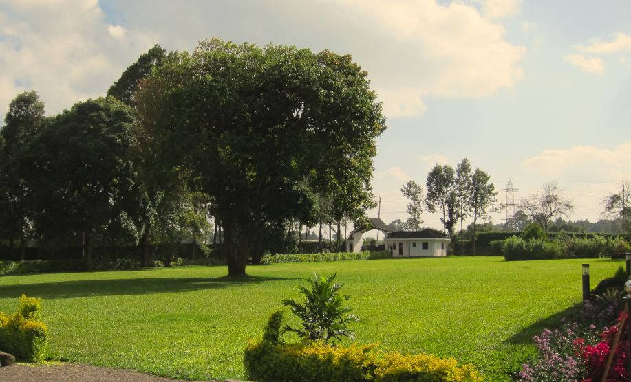 Photoshoot Grounds